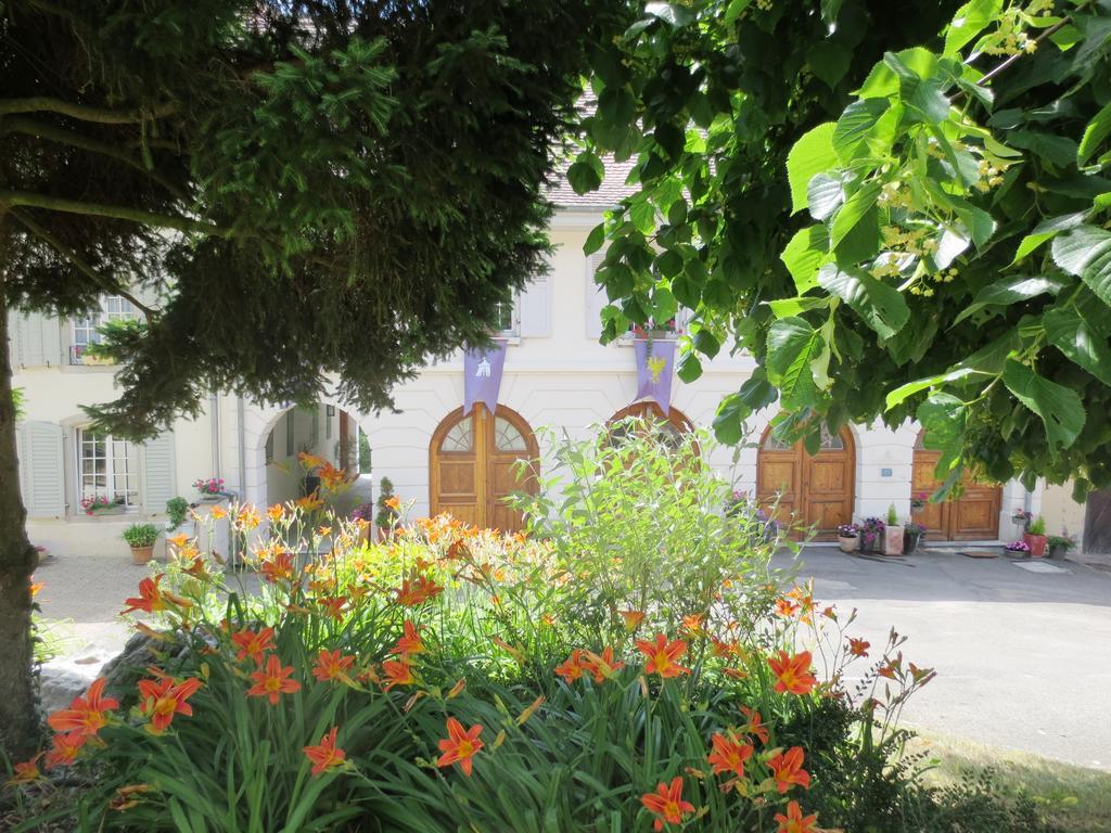 La Maison Des Fontaines D'Alsace Ferrette Værelse billede