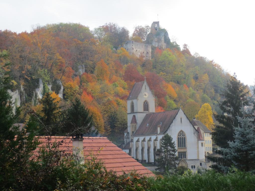 La Maison Des Fontaines D'Alsace Ferrette Værelse billede