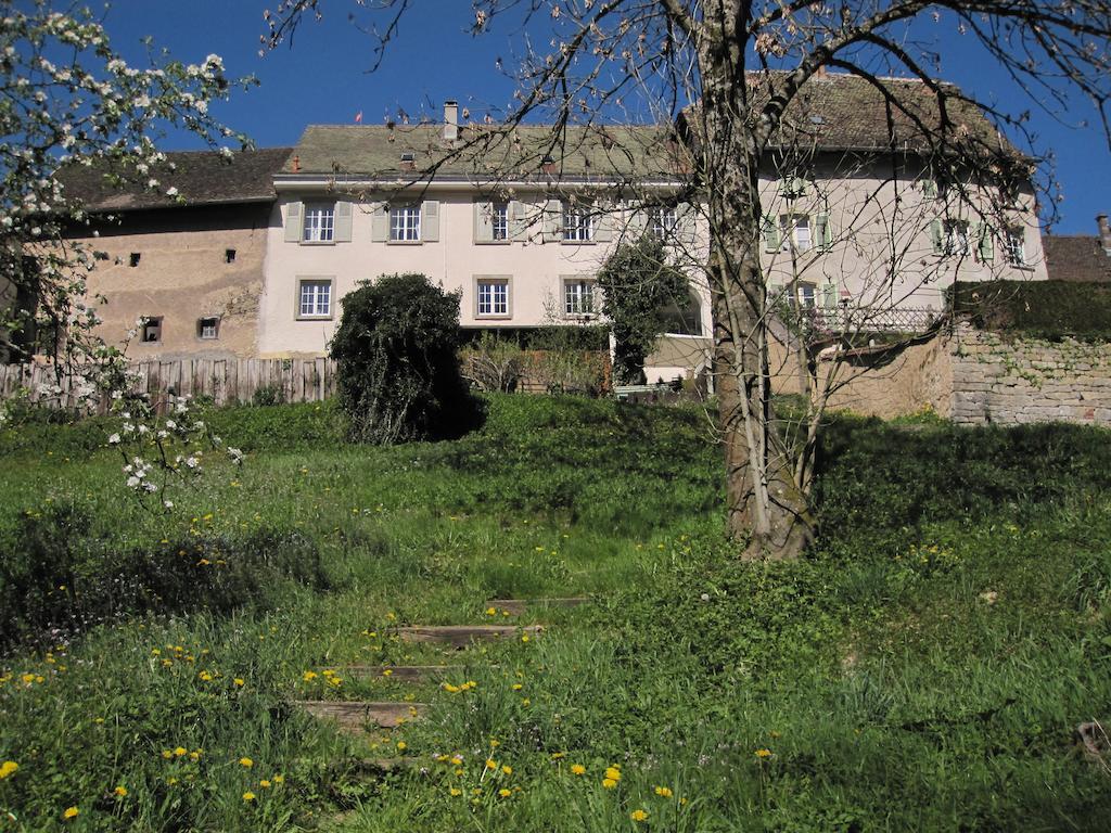 La Maison Des Fontaines D'Alsace Ferrette Værelse billede