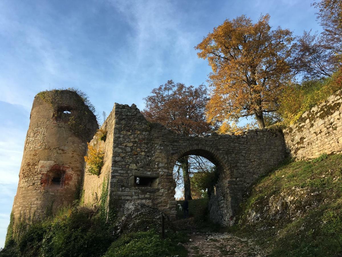 La Maison Des Fontaines D'Alsace Ferrette Eksteriør billede