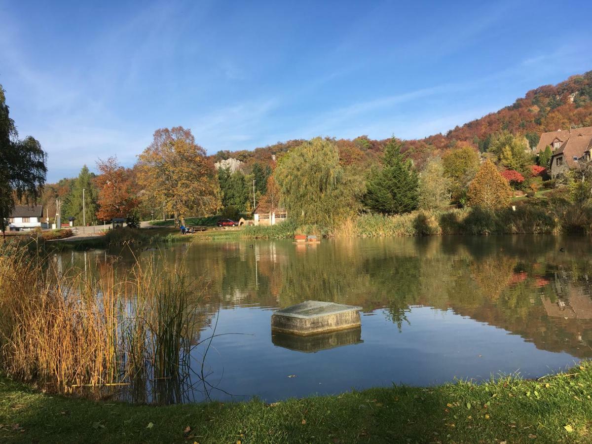 La Maison Des Fontaines D'Alsace Ferrette Eksteriør billede