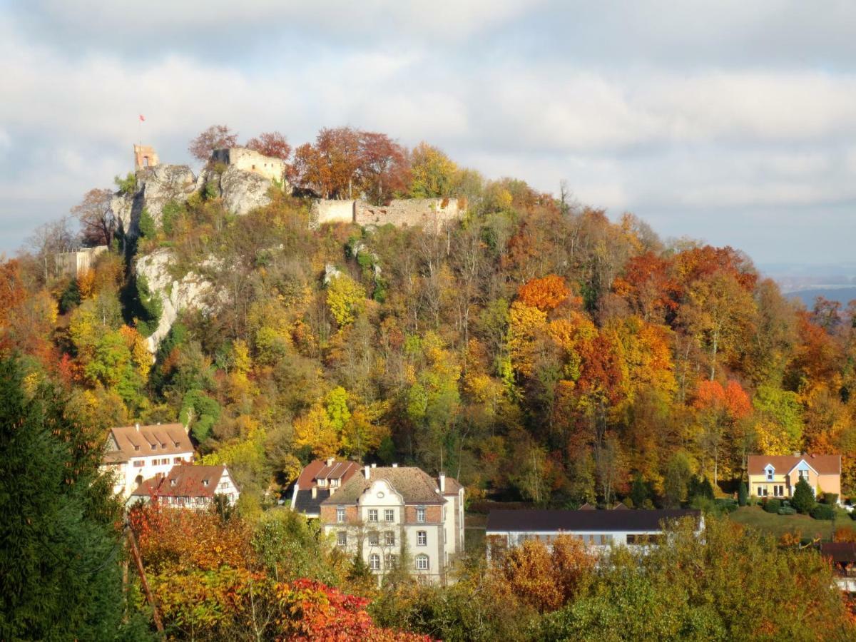 La Maison Des Fontaines D'Alsace Ferrette Eksteriør billede