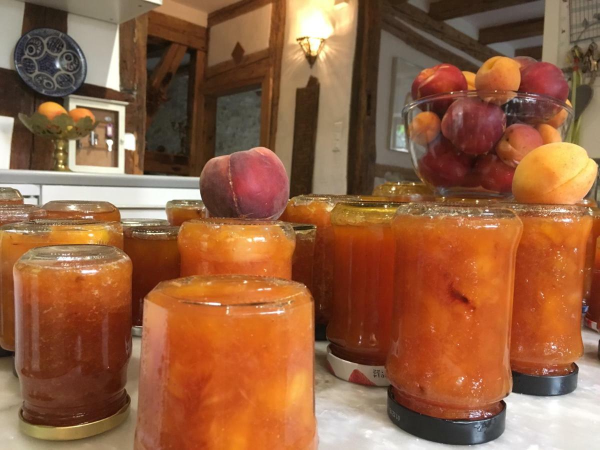 La Maison Des Fontaines D'Alsace Ferrette Eksteriør billede